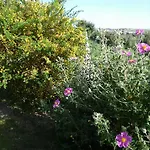 Su Recreu