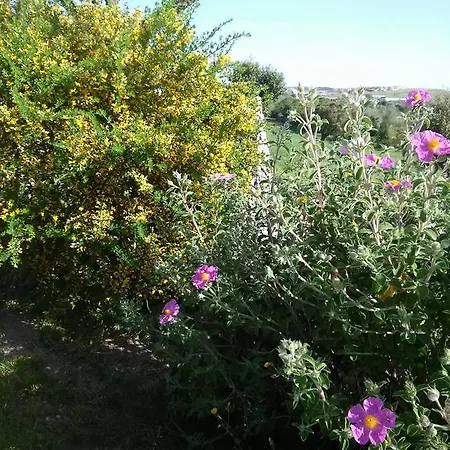 Su Recreu
