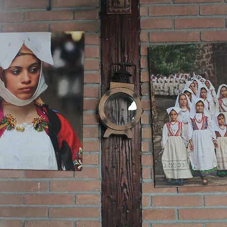 Alloggio per agriturismo Su Recreu *