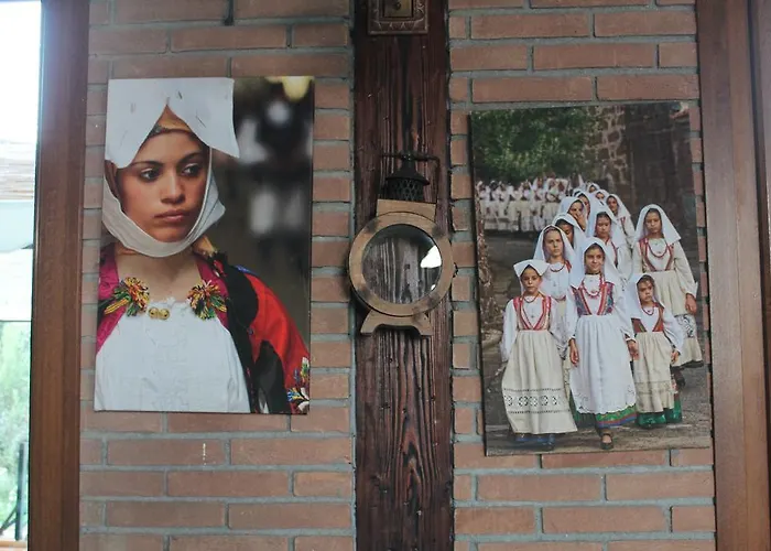 Alloggio per agriturismo Su Recreu *