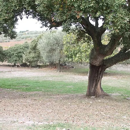 Su Recreu *