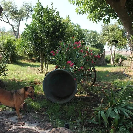 Farm stay Su Recreu *