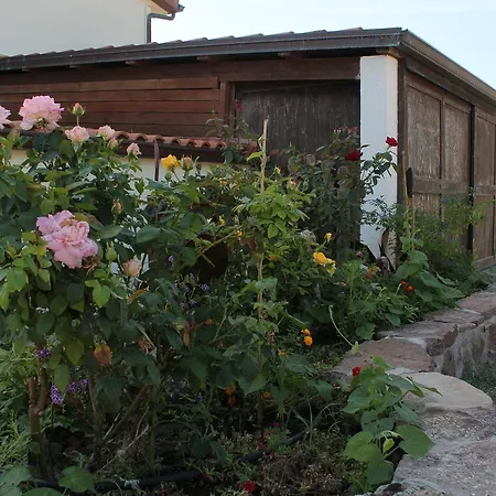 Lantgård Su Recreu Ittiri