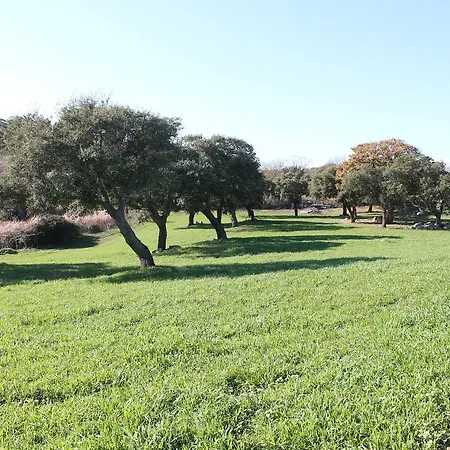 Su Recreu Κατάλυμα σε φάρμα Ittiri