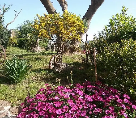 Su Recreu Ittiri